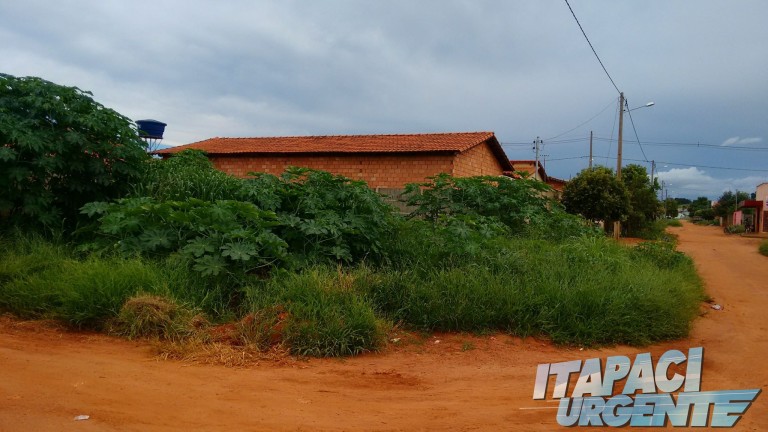 Itapaci: Mato alto de terrenos gera transtornos a moradores do jardim tropical e residencial morada nova