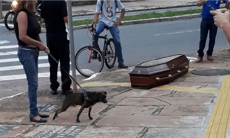 Caixão cai de carro funerário e atrai curiosos em Goiânia