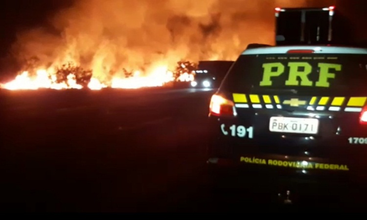 Produtor rural é preso suspeito de colocar fogo na mata às margens da BR-153