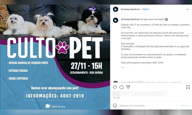 GO: Igreja goiana viraliza na web ao anunciar culto para pets