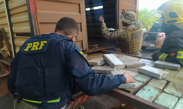 GO: Carga de cocaína avaliada em R$ 45 milhões é apreendida em fundo falso de caminhão boiadeiro