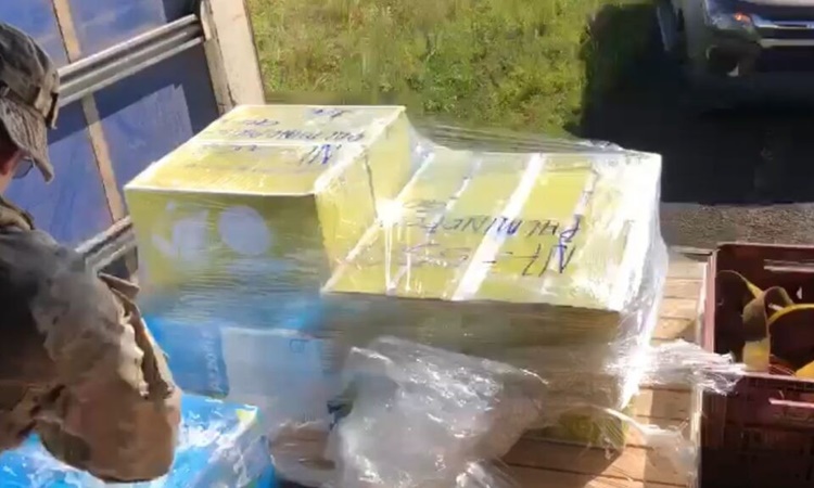 GO: Polícia apreende agrotóxicos irregulares avaliados em R$ 20 mil
