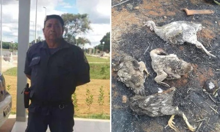 GO: Fazendeiro morre queimado após tentar salvar animais durante incêndio