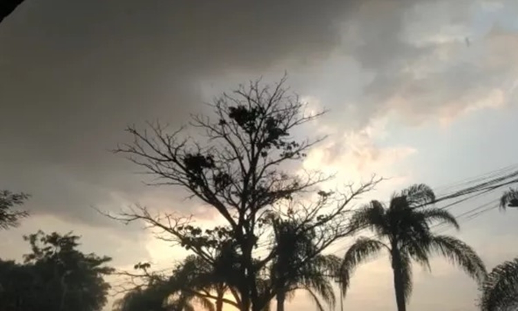 Goiás tem alerta de perigo potencial de chuvas intensas com ventos de até 100 km/h, diz Inmet