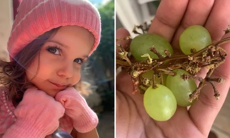 GO: Menina de 3 anos morre após ter série de paradas cardíacas ao se engasgar com uva