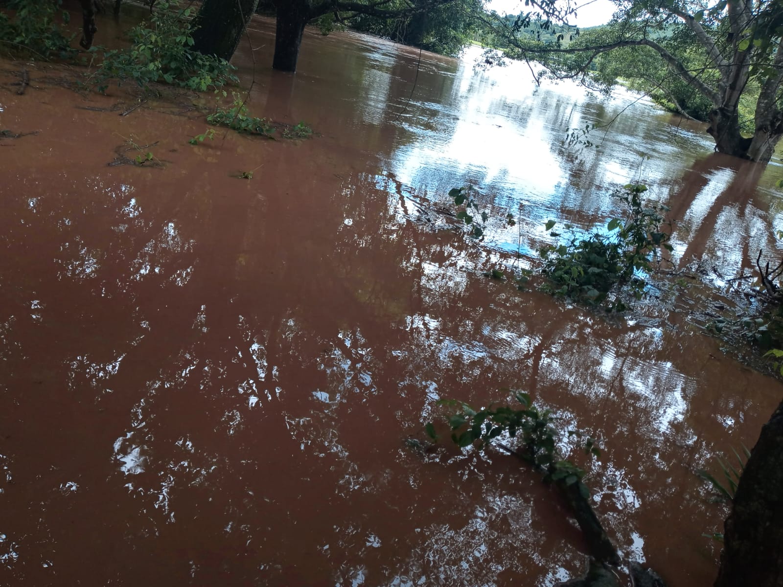 VÍDEO: Chuvas fazem nível de água do Rio São Patricinho subir em grande volume