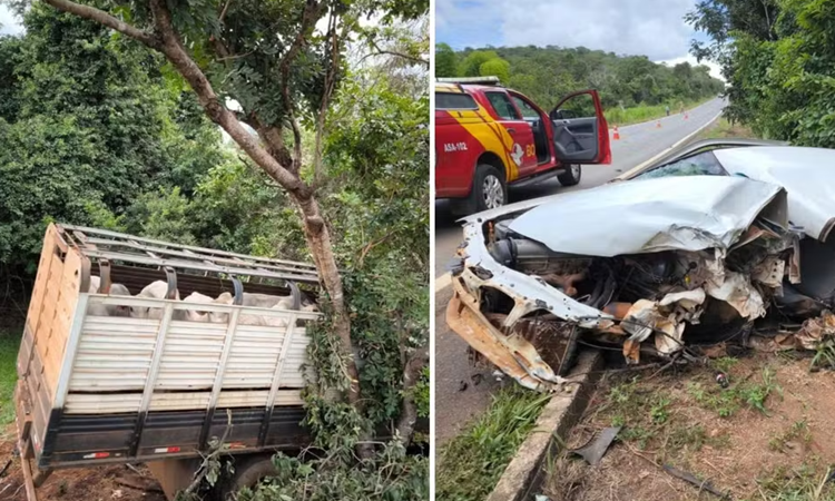 Colisão entre carro e caminhão carregado com gado deixa três mortos na GO-020