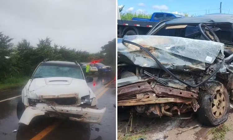 Dois jovens morrem após colisão entre carro e caminhonete na GO-060