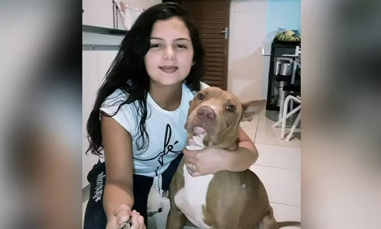 Mulher morre após ser atacada por Pit bull dentro de casa