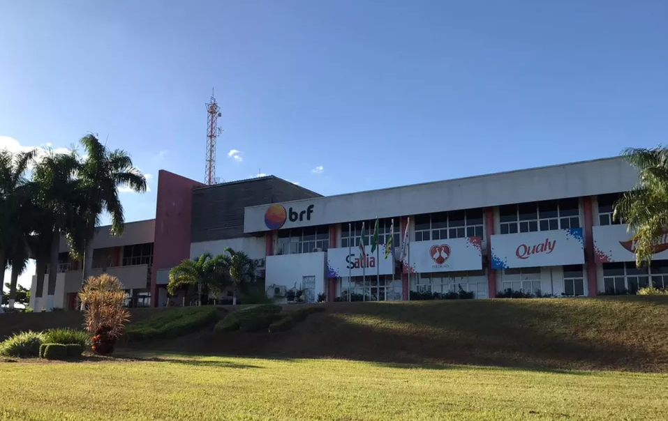 Empresa abate 74 mil galinhas de forma preventiva para evitar risco de gripe aviária, em Goiás
