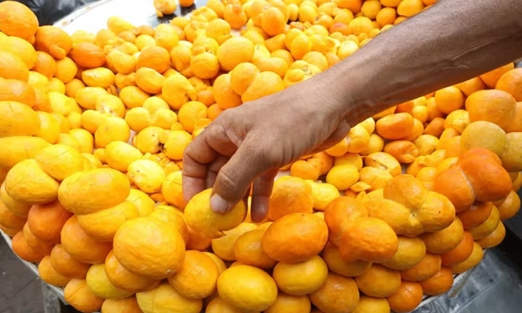 Pequi pode ajudar no tratamento de doenças nos rins e reduzir colesterol, apontam estudos