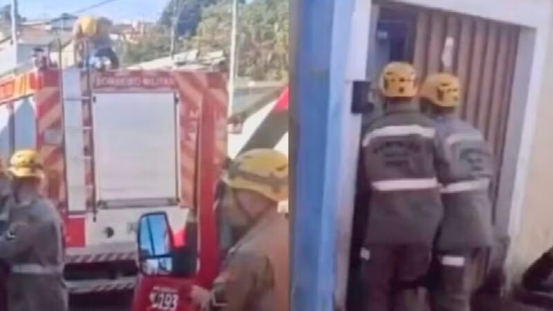 Idosa morre após ser atacada por cachorro da raça pit bull