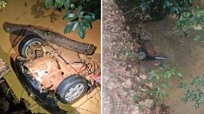Cinco crianças e dois adultos morrem após carro cair de ponte em Goiás
