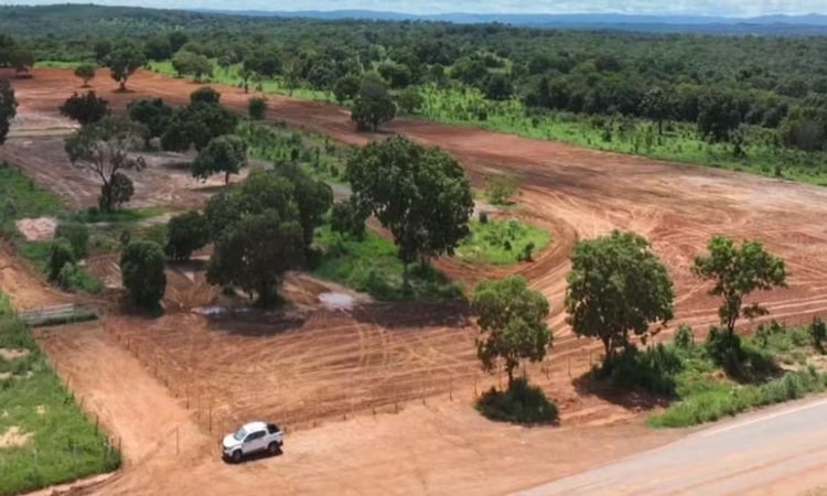 Fazenda com mais de 700 hectares é alvo de disputa judicial em Santa Terezinha de Goiás