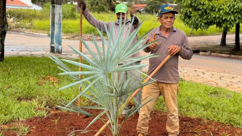 Avenida Goiânia está passando por processo de revitalização