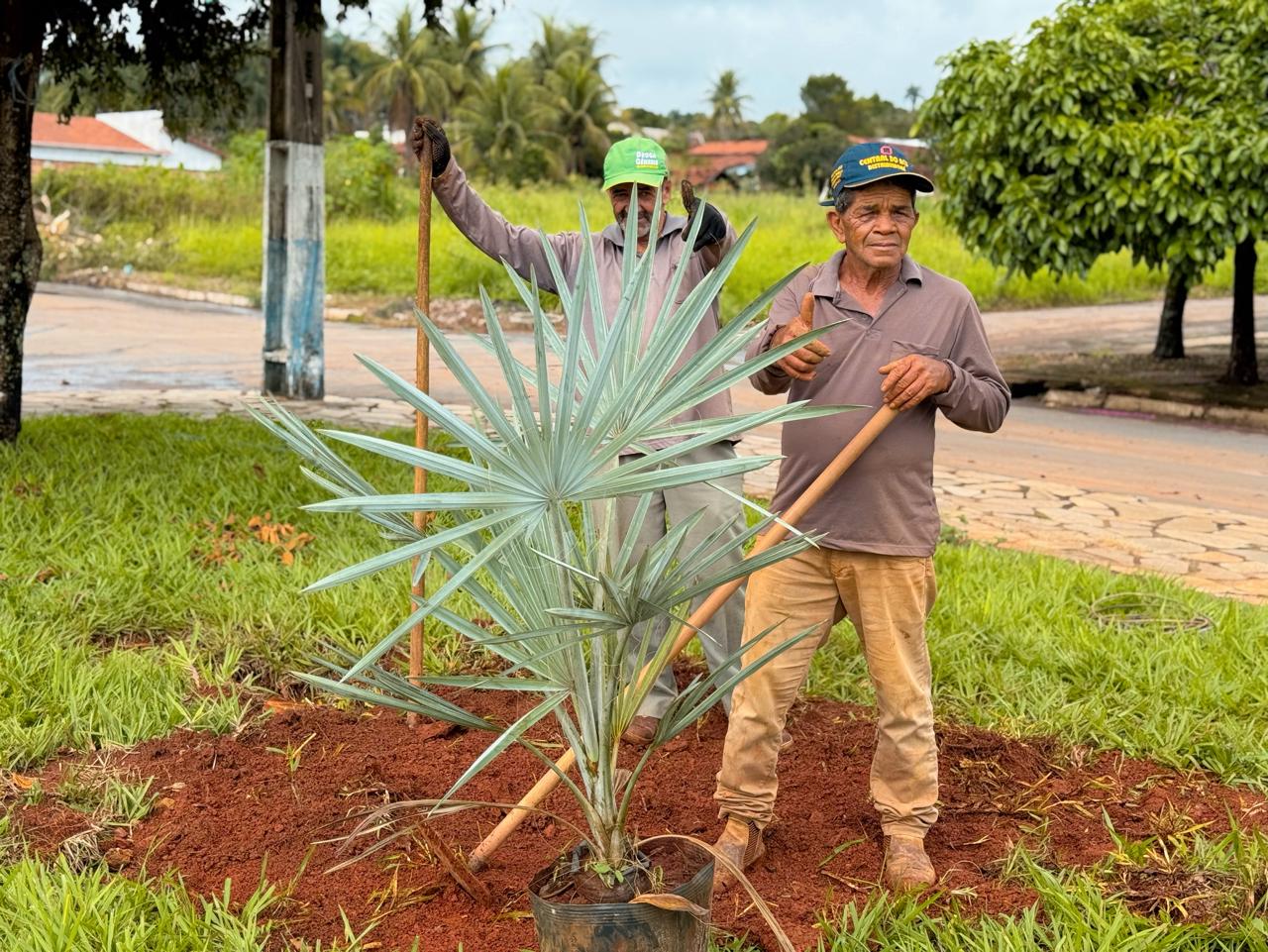 Avenida Goiânia está passando por processo de revitalização