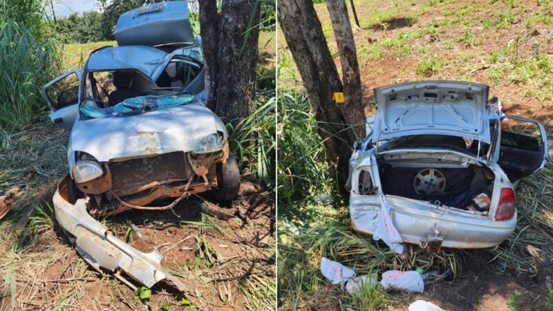 Criança de 4 anos morre em acidente na BR-153