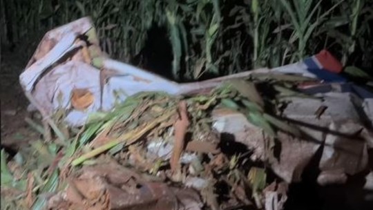 Avô e neto morrem após queda de avião no interior de Goiás
