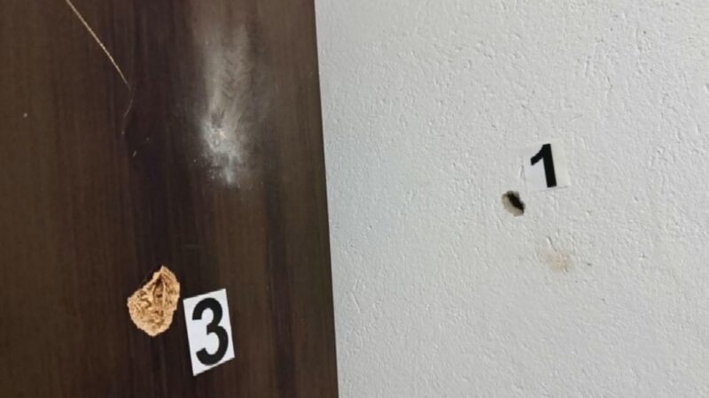 Criança de 7 anos é atingida com tiro no rosto após arma do padrasto disparar, diz polícia