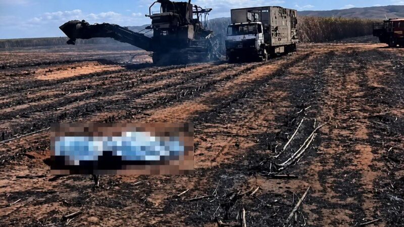 Homem morre após incêndio em área rural de São Luiz do Norte